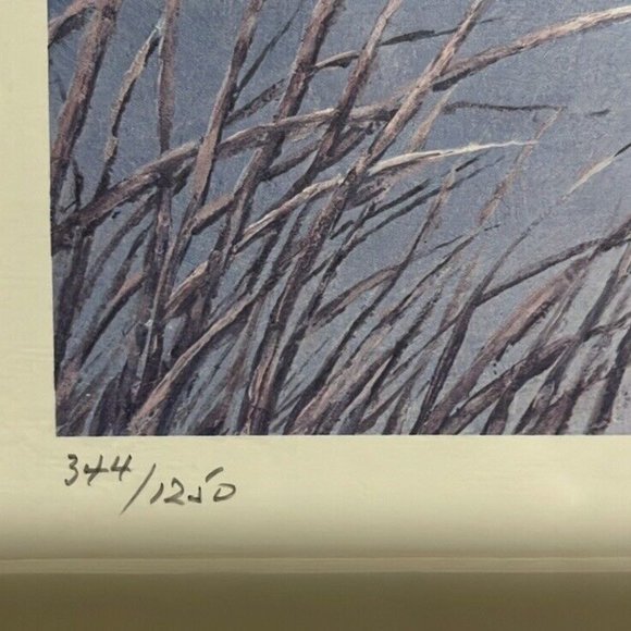 Maryland Migratory Duck Stamp Print "FLARING WIDGEON" Arthur Eakin 1981 #344 - Picture 4 of 10